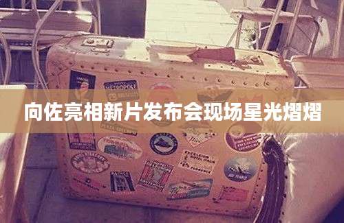 向佐亮相新片发布会现场星光熠熠