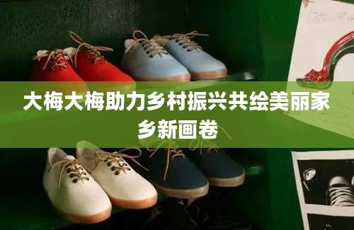 大梅大梅助力乡村振兴共绘美丽家乡新画卷