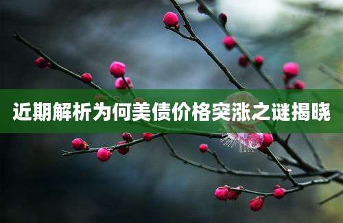 近期解析为何美债价格突涨之谜揭晓