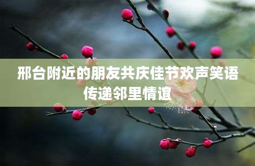 邢台附近的朋友共庆佳节欢声笑语传递邻里情谊