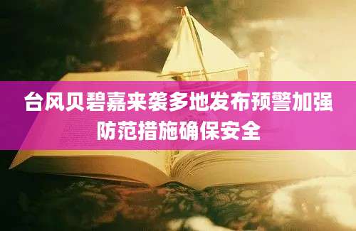 台风贝碧嘉来袭多地发布预警加强防范措施确保安全