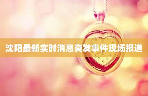 沈阳最新实时消息突发事件现场报道