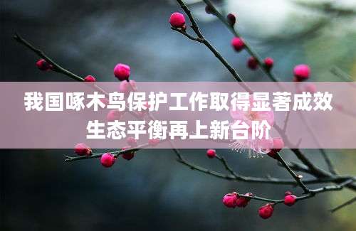 我国啄木鸟保护工作取得显著成效生态平衡再上新台阶