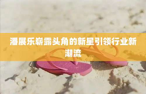 潘展乐崭露头角的新星引领行业新潮流