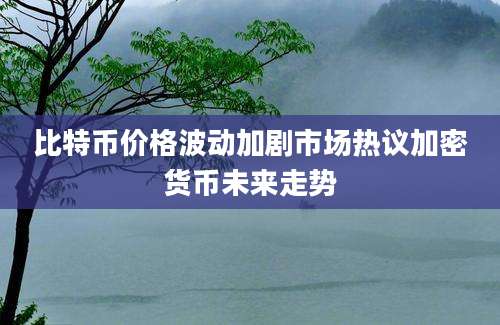 比特币价格波动加剧市场热议加密货币未来走势