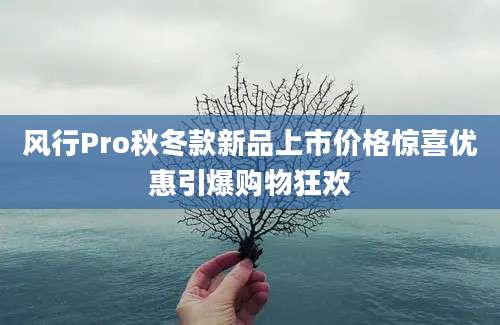 风行Pro秋冬款新品上市价格惊喜优惠引爆购物狂欢