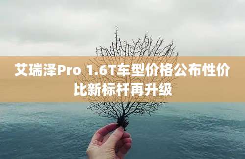 艾瑞泽Pro 1.6T车型价格公布性价比新标杆再升级
