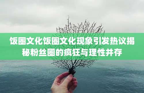 饭圈文化饭圈文化现象引发热议揭秘粉丝圈的疯狂与理性并存