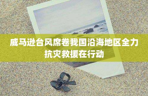 威马逊台风席卷我国沿海地区全力抗灾救援在行动