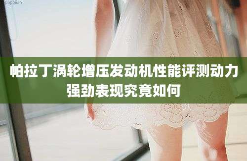 帕拉丁涡轮增压发动机性能评测动力强劲表现究竟如何