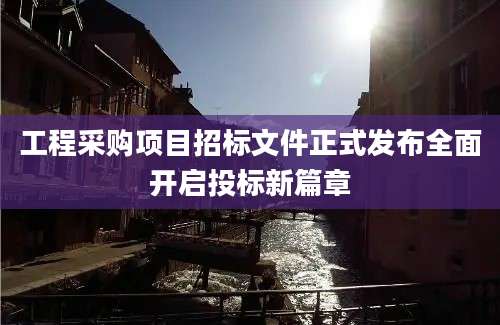 工程采购项目招标文件正式发布全面开启投标新篇章
