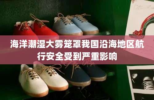 海洋潮湿大雾笼罩我国沿海地区航行安全受到严重影响