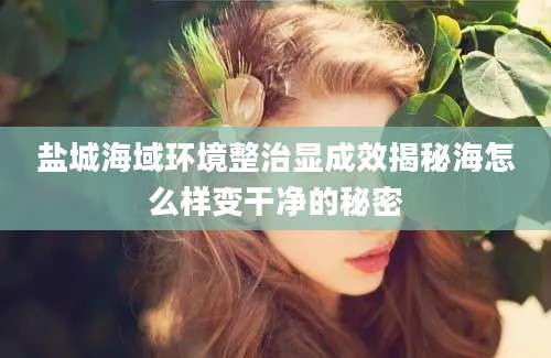 盐城海域环境整治显成效揭秘海怎么样变干净的秘密