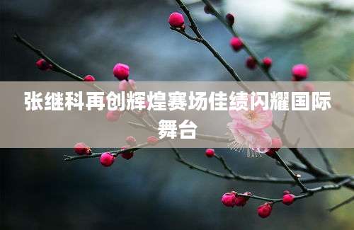 张继科再创辉煌赛场佳绩闪耀国际舞台