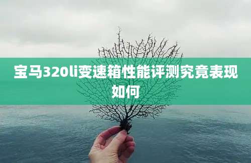 宝马320li变速箱性能评测究竟表现如何