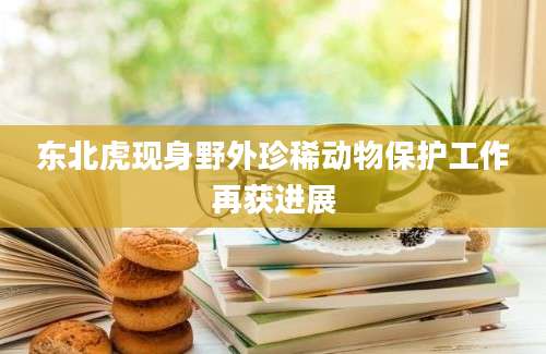 东北虎现身野外珍稀动物保护工作再获进展