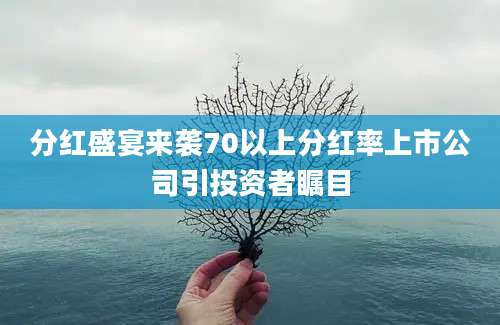 分红盛宴来袭70以上分红率上市公司引投资者瞩目