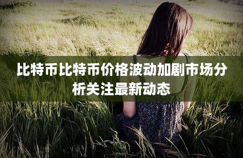 比特币比特币价格波动加剧市场分析关注最新动态