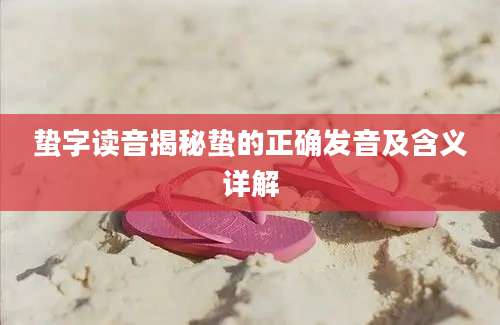 蛰字读音揭秘蛰的正确发音及含义详解