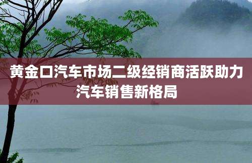 黄金口汽车市场二级经销商活跃助力汽车销售新格局