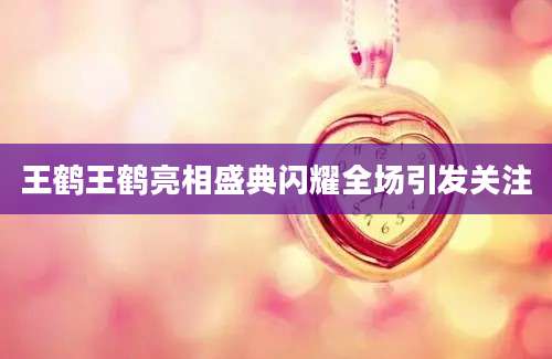 王鹤王鹤亮相盛典闪耀全场引发关注