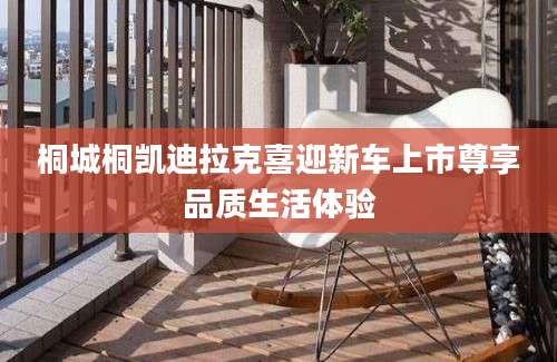 桐城桐凯迪拉克喜迎新车上市尊享品质生活体验