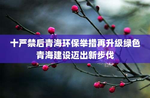 十严禁后青海环保举措再升级绿色青海建设迈出新步伐