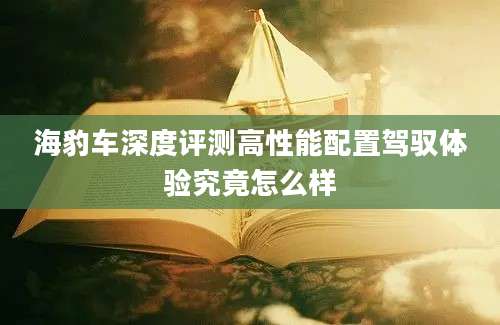 海豹车深度评测高性能配置驾驭体验究竟怎么样