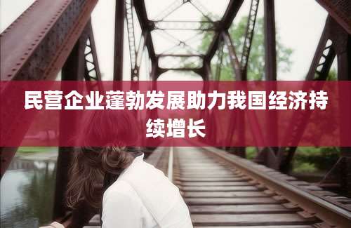 民营企业蓬勃发展助力我国经济持续增长