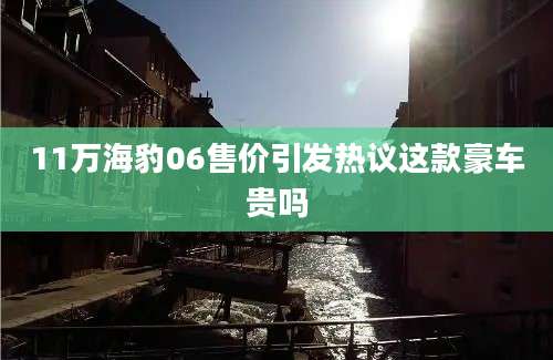 11万海豹06售价引发热议这款豪车贵吗