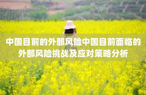 中国目前的外部风险中国目前面临的外部风险挑战及应对策略分析