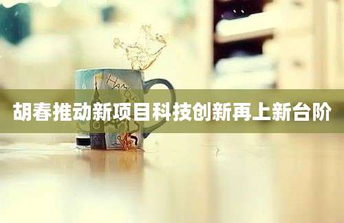 胡春推动新项目科技创新再上新台阶