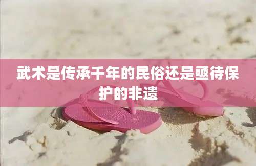 武术是传承千年的民俗还是亟待保护的非遗