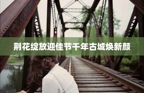 荆花绽放迎佳节千年古城焕新颜