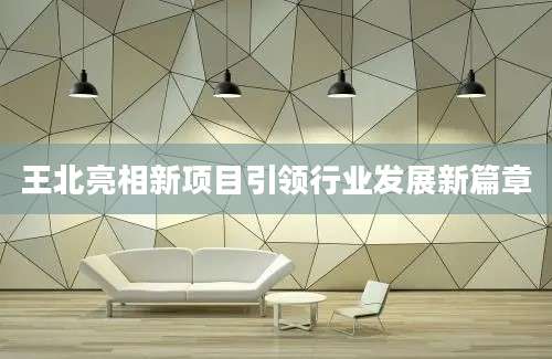 王北亮相新项目引领行业发展新篇章