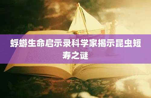 蜉蝣生命启示录科学家揭示昆虫短寿之谜