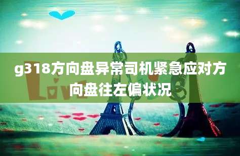 g318方向盘异常司机紧急应对方向盘往左偏状况