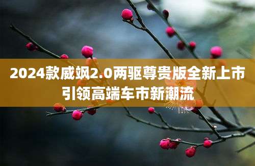 2024款威飒2.0两驱尊贵版全新上市引领高端车市新潮流