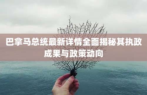 巴拿马总统最新详情全面揭秘其执政成果与政策动向