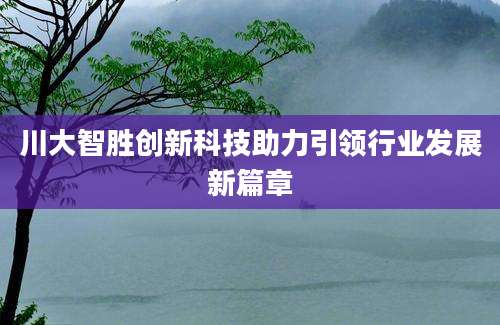 川大智胜创新科技助力引领行业发展新篇章