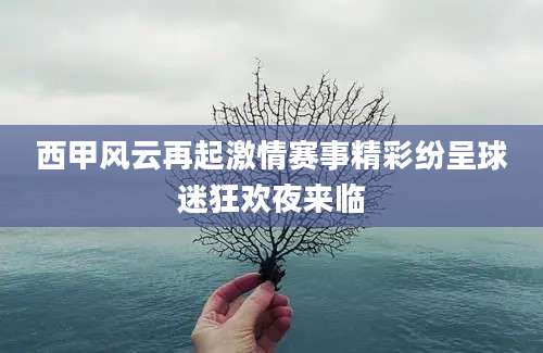 西甲风云再起激情赛事精彩纷呈球迷狂欢夜来临