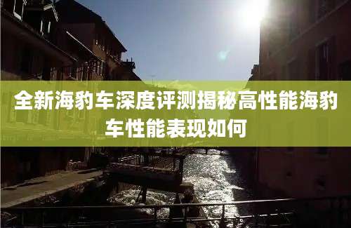全新海豹车深度评测揭秘高性能海豹车性能表现如何