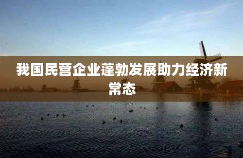 我国民营企业蓬勃发展助力经济新常态
