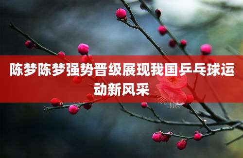 陈梦陈梦强势晋级展现我国乒乓球运动新风采
