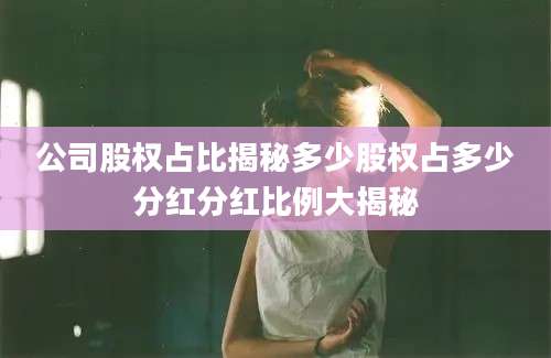 公司股权占比揭秘多少股权占多少分红分红比例大揭秘