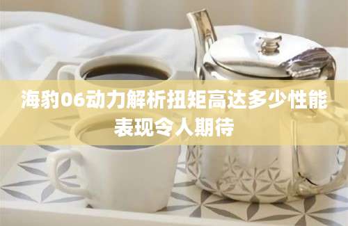 海豹06动力解析扭矩高达多少性能表现令人期待
