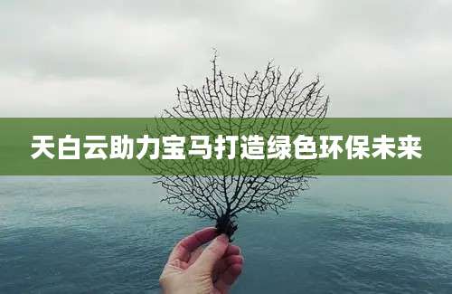 天白云助力宝马打造绿色环保未来