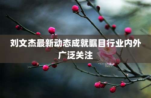 刘文杰最新动态成就瞩目行业内外广泛关注