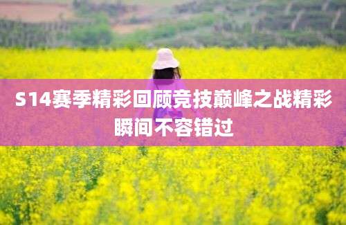 S14赛季精彩回顾竞技巅峰之战精彩瞬间不容错过