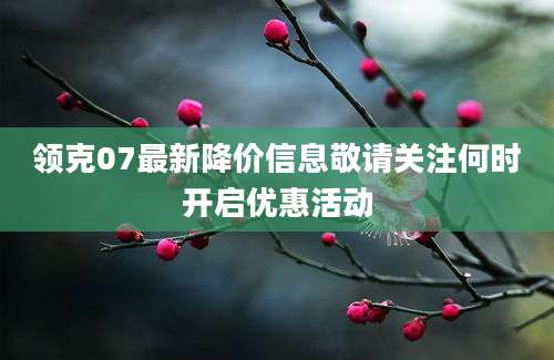 领克07最新降价信息敬请关注何时开启优惠活动
